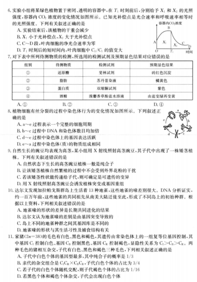 陕西金太阳2024高三11月联考(172C)生物试题及答案解析