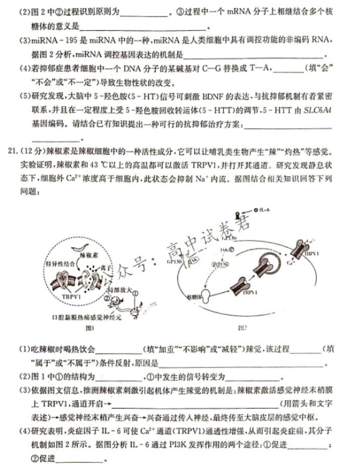 湖南湘东九校联盟2024高三第一次联考生物试题及答案解析