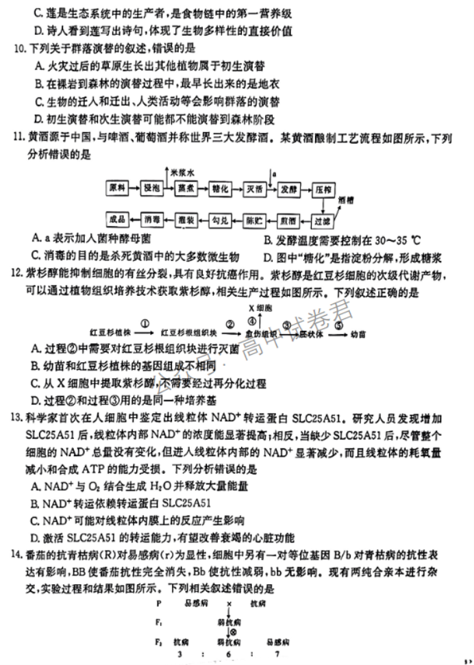 广西2024高三跨市联合适应性训练(123C)生物试题及答案