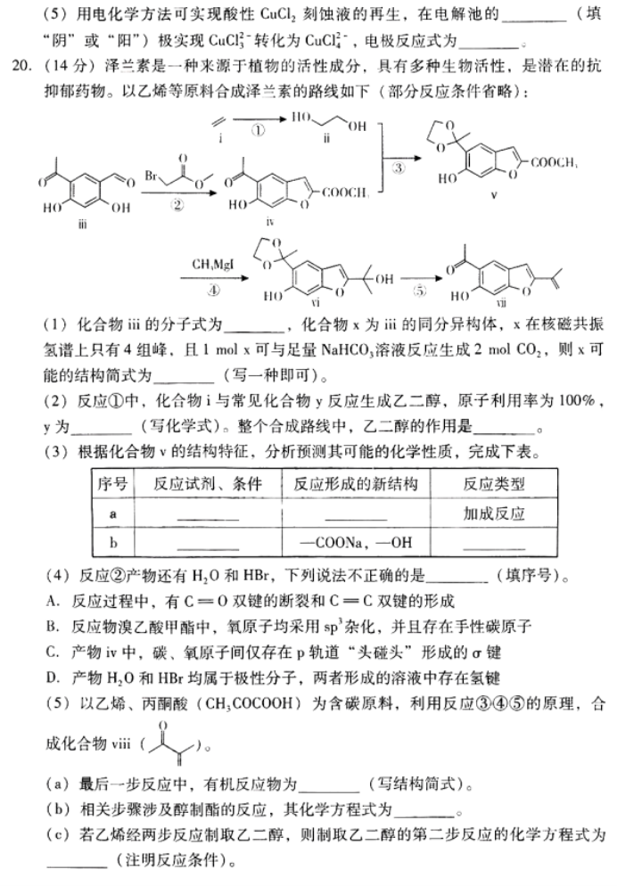 广东粤光联考2024高三第二次调研考试化学试题及答案解析