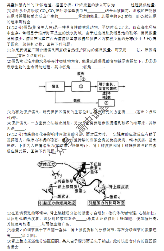 广西四市2024高三跨市联合适应性检测生物试题及答案解析