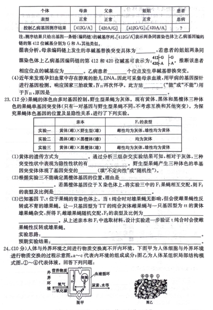 齐齐哈尔普高联谊校2024高三11月月考生物试题及答案解析