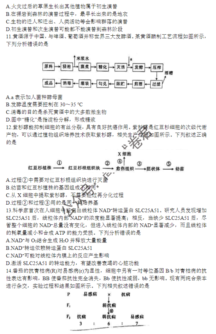 广西四市2024高三跨市联合适应性检测生物试题及答案解析