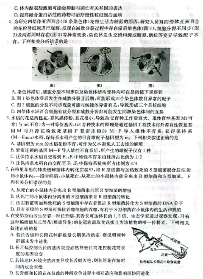 辽宁省部分学校2024高三12月联考生物试题及答案解析