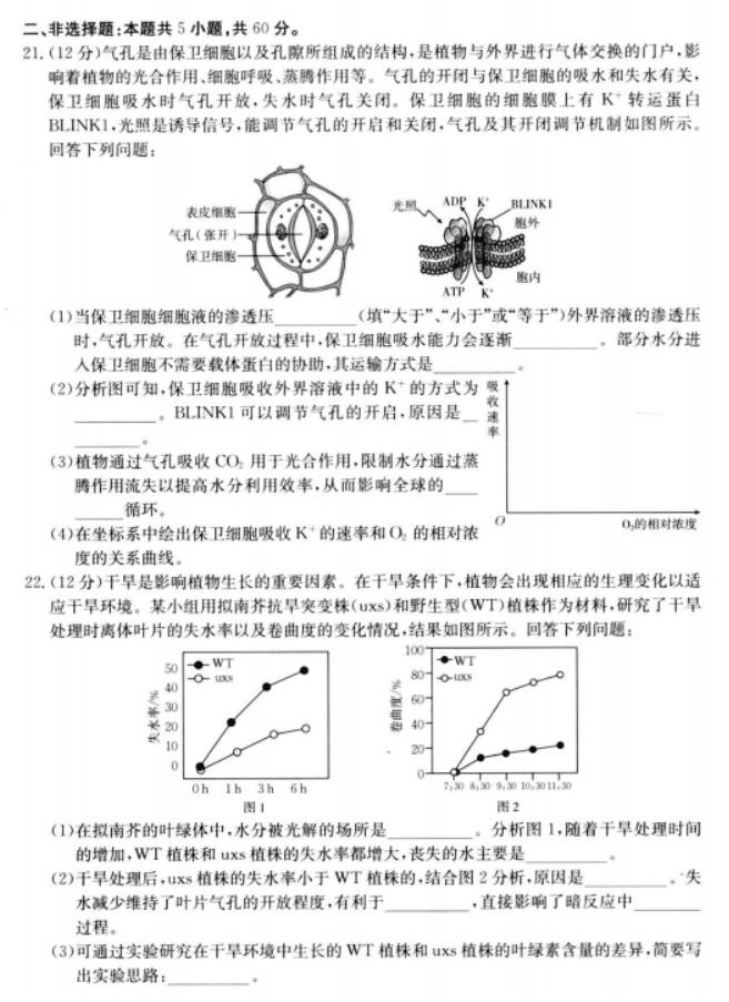 陕西金太阳2024高三11月联考(172C)生物试题及答案解析