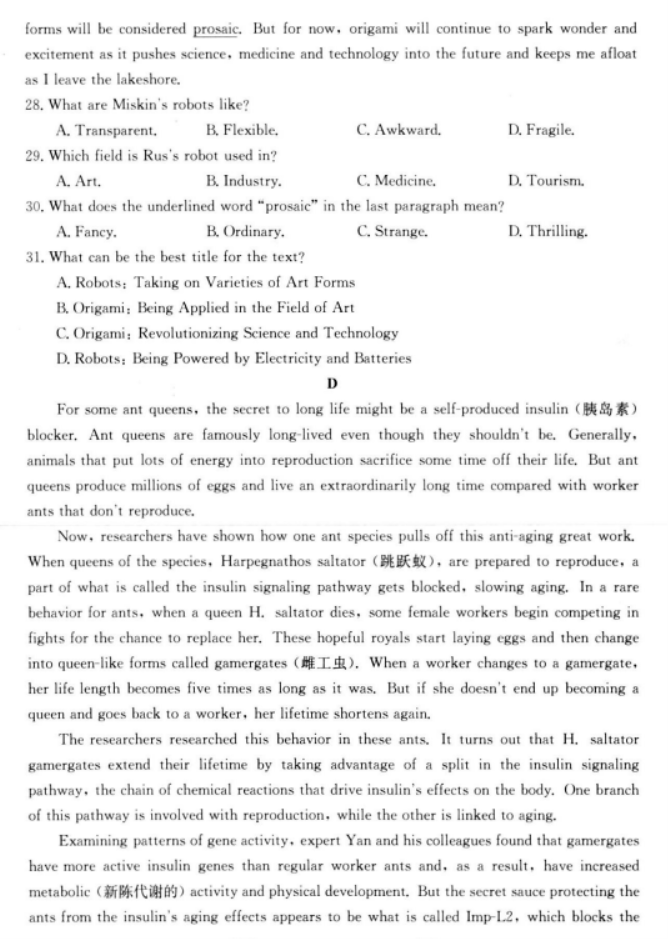 陕西金太阳2024高三11月联考(172C)英语试题及答案解析