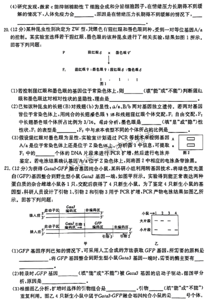 广西2024高三跨市联合适应性训练(123C)生物试题及答案