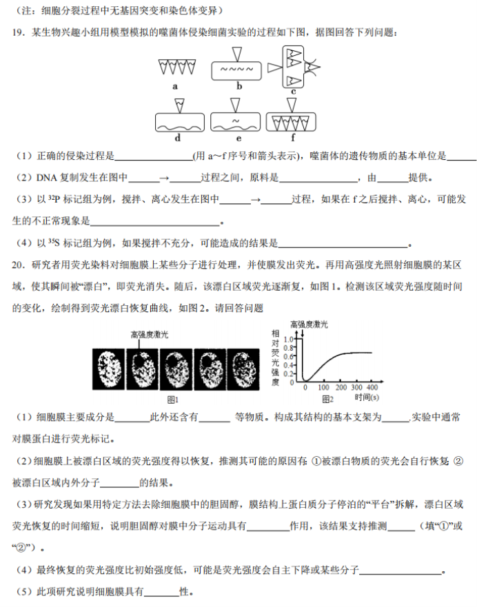 重庆乌江新高考协作体2024高三期中考生物试题及答案解析