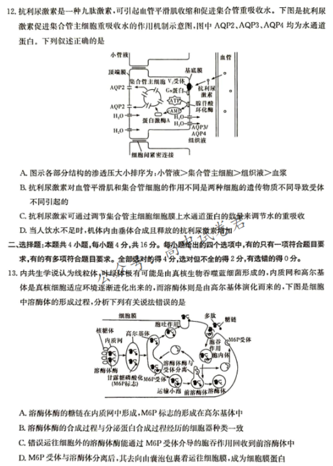 湖南湘东九校联盟2024高三第一次联考生物试题及答案解析