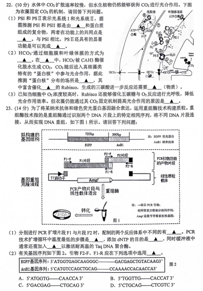 浙江省金丽衢十二校2024高三12月联考生物试题及答案解析