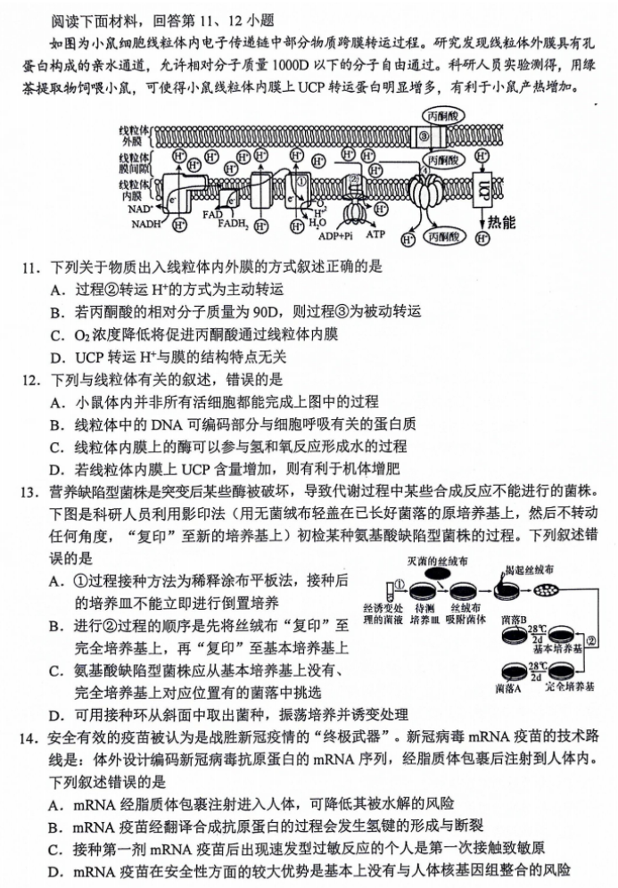 浙江省金丽衢十二校2024高三12月联考生物试题及答案解析