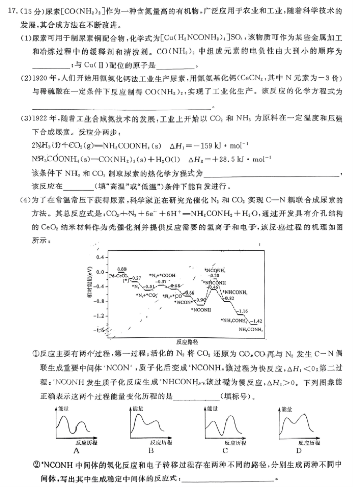 湖南五市十校共同体2024高三12月联考化学试题及答案解析