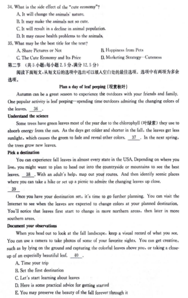 江西三新协同教研体2024高三12月联考英语试题及答案解析