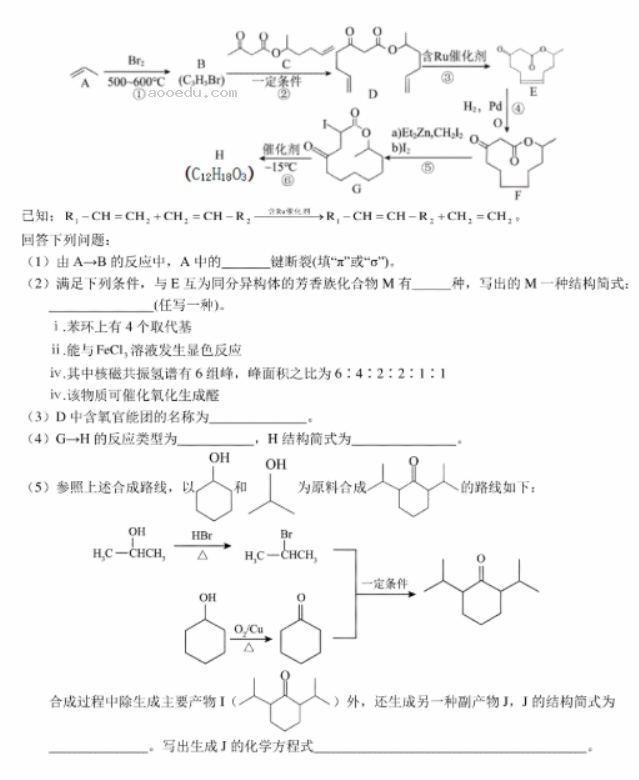 2024年1月高三九省联考考前猜想卷化学01试题及答案解析