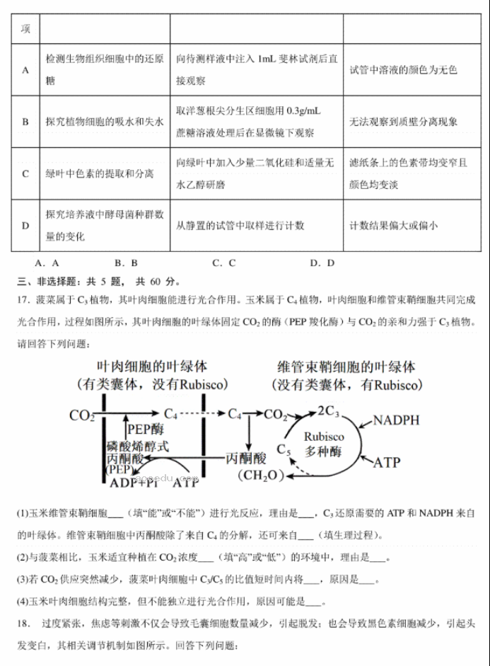 2024年1月九省联考考前猜想卷生物试题及答案解析(江西卷)