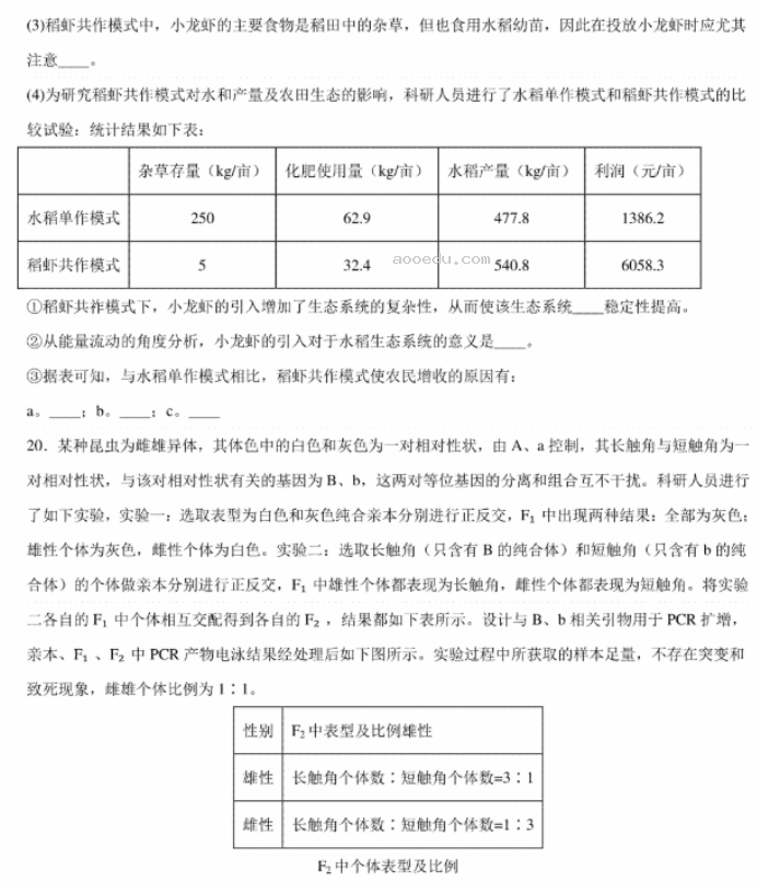 2024年1月九省联考考前猜想卷生物试题及答案解析(江西卷)