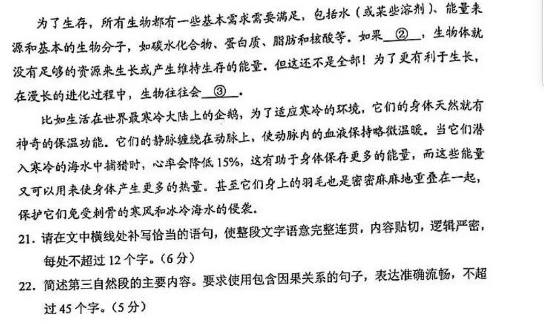 新疆2024新高考九省联考语文试题出炉【最新】