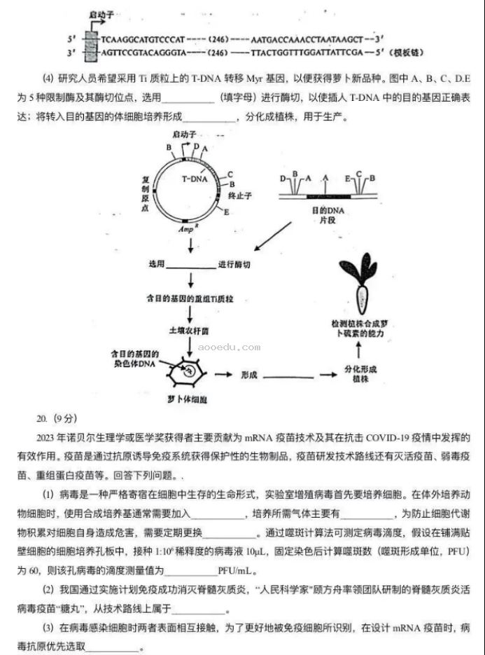 安徽2024新高考九省联考生物试题及答案解析【最新整理】