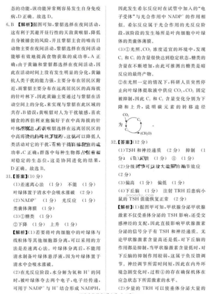 河南青桐鸣大联考2024高三期末考理综试题及答案解析
