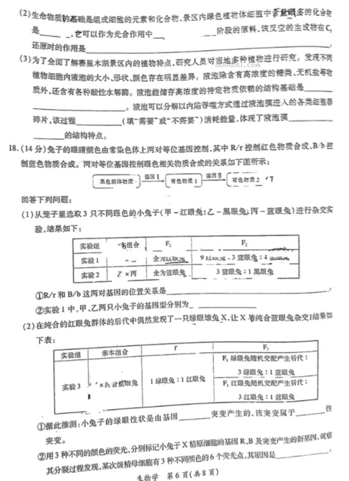 江西上饶六校2024高三第一次联考生物试题及答案解析