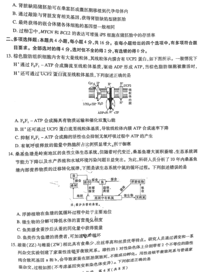 江西上饶六校2024高三第一次联考生物试题及答案解析