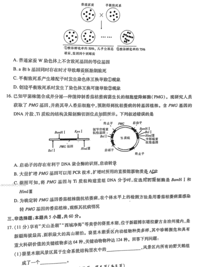 江西上饶六校2024高三第一次联考生物试题及答案解析