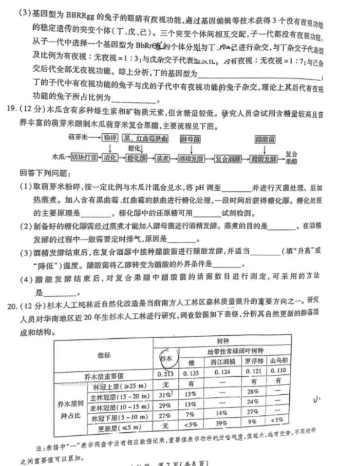 江西上饶六校2024高三第一次联考生物试题及答案解析