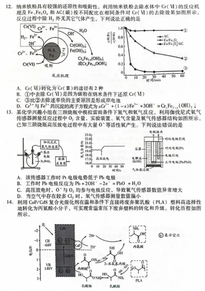 山东潍坊及滨州2024高三3月一模考化学试题及答案解析