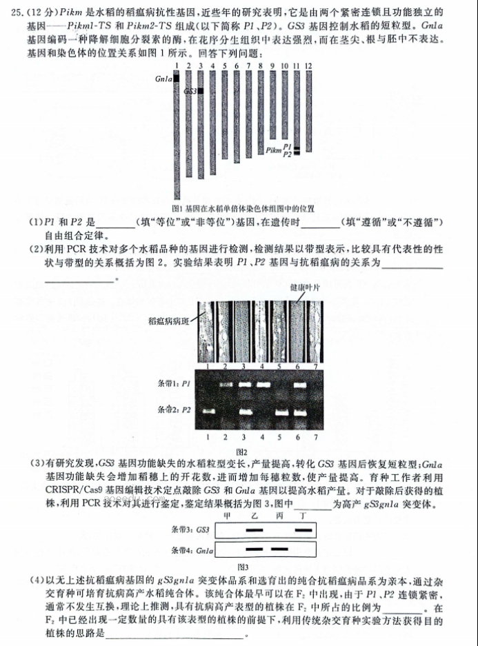 辽宁名校联盟2024高三3月联考生物试题及答案解析