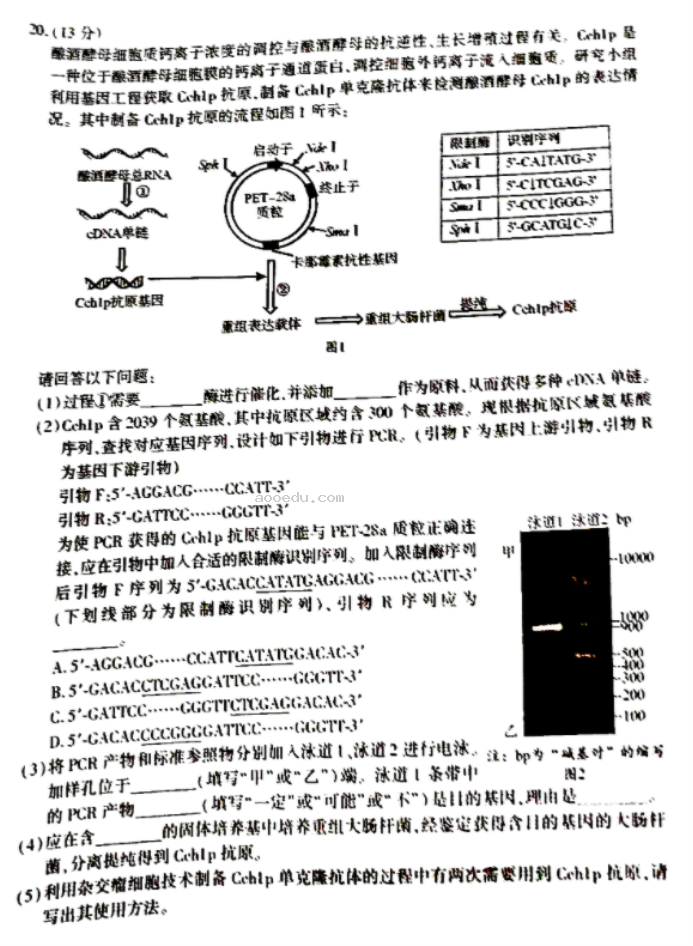 福建厦门2024高三3月市质检生物试题及答案解析