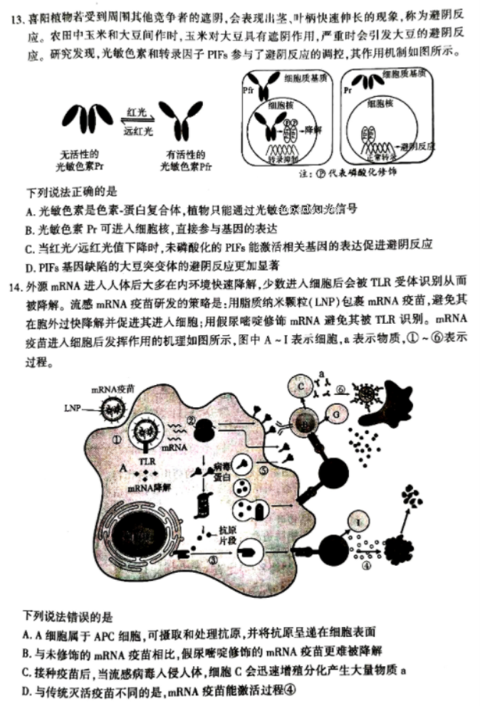 福建厦门2024高三3月市质检生物试题及答案解析