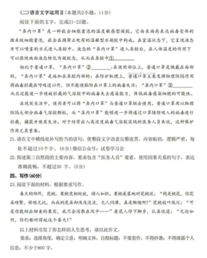 湖北省2024高三4月调研考语文试题及答案解析