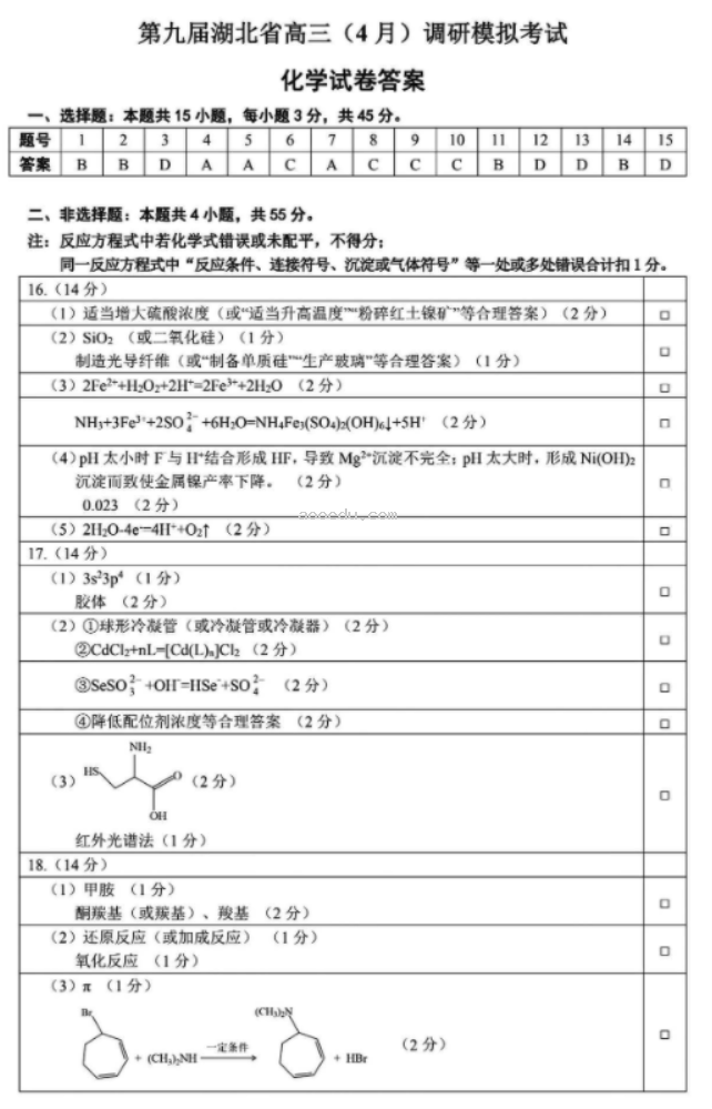 湖北省2024高三4月调研考化学试题及答案解析