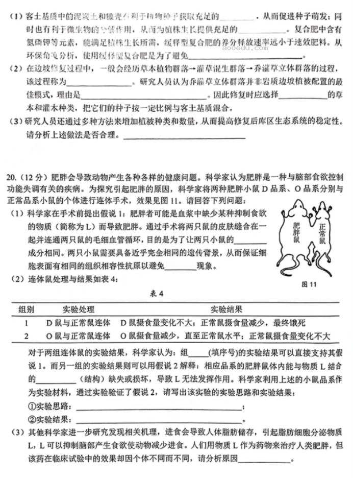 广东大湾区2024高三4月二模考试生物试题及答案解析