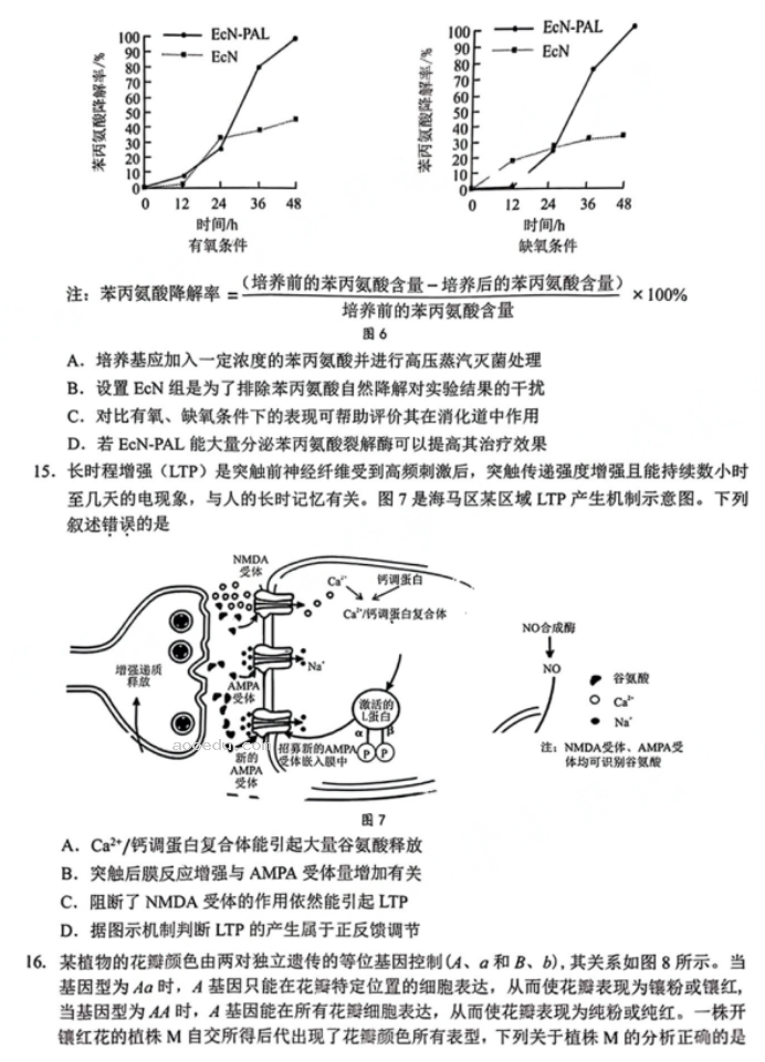 广东大湾区2024高三4月二模考试生物试题及答案解析