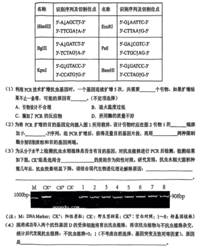 湖北鄂东南联盟2024高三5月模拟考生物试题及答案解析