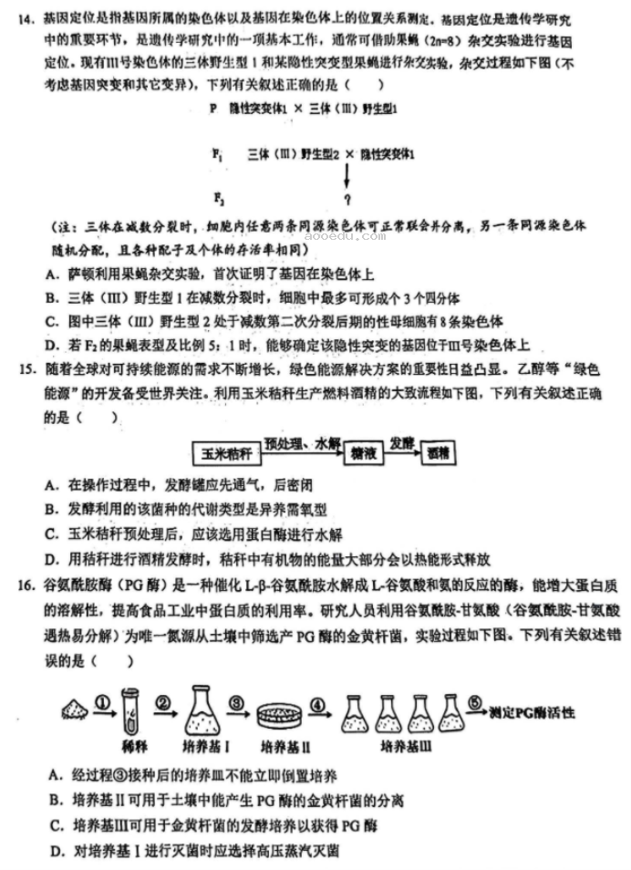 湖北鄂东南联盟2024高三5月模拟考生物试题及答案解析