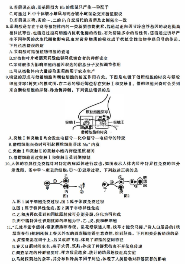 百师联盟2024高三信息押题卷四生物试题及答案解析