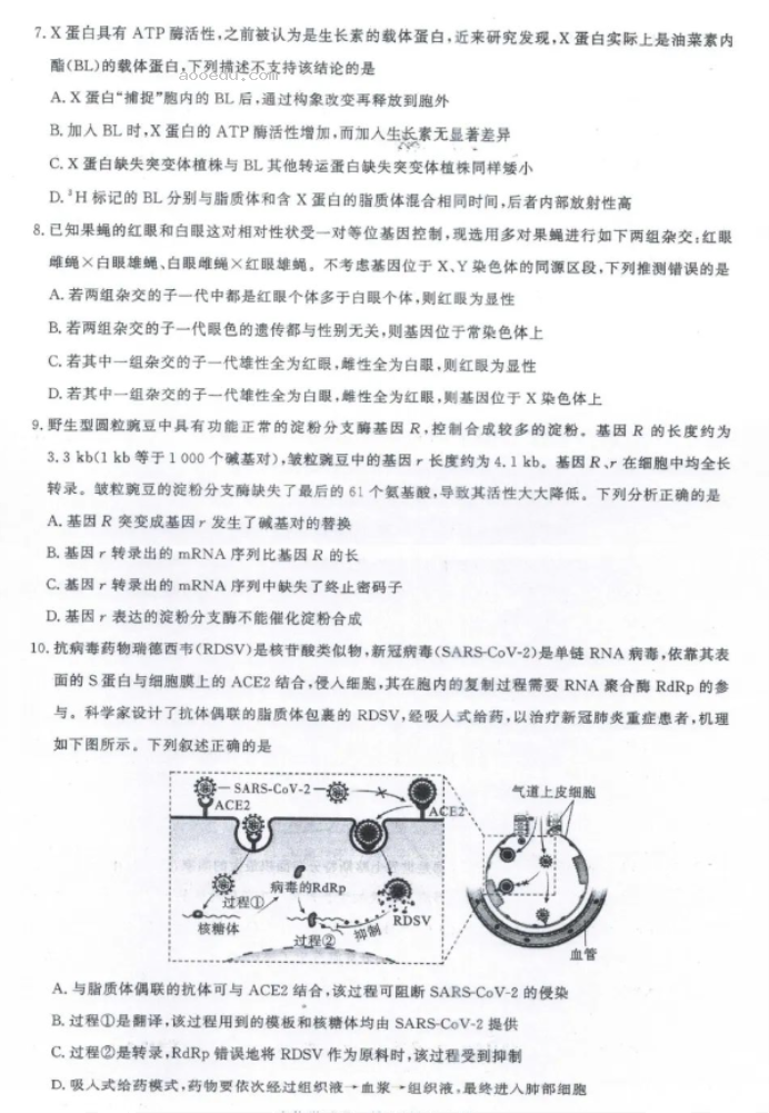 湖北圆创联盟2024高三第四次联合测评生物试题及答案解析