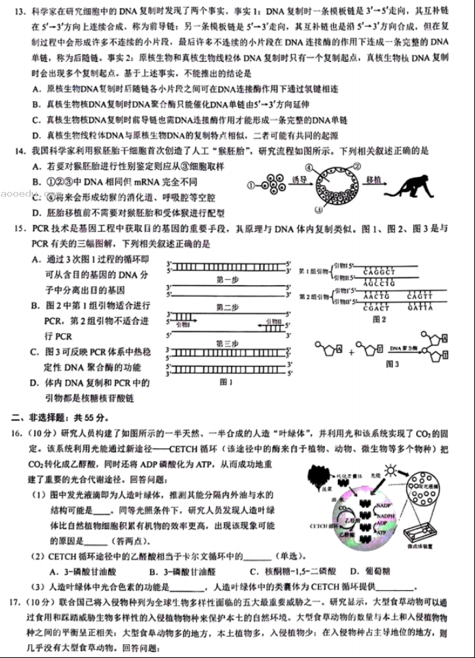 重庆2024高三5月三诊(康德卷)生物试题及答案解析