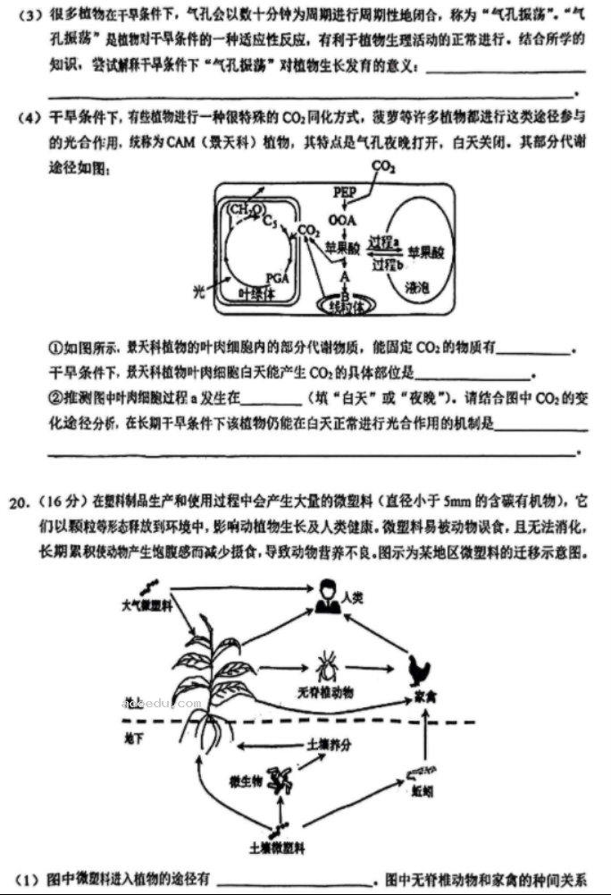 湖北鄂东南联盟2024高三5月模拟考生物试题及答案解析