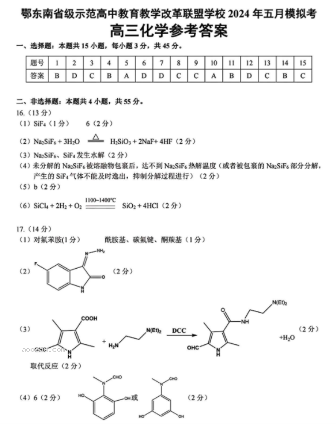 湖北鄂东南联盟2024高三5月模拟考化学试题及答案解析