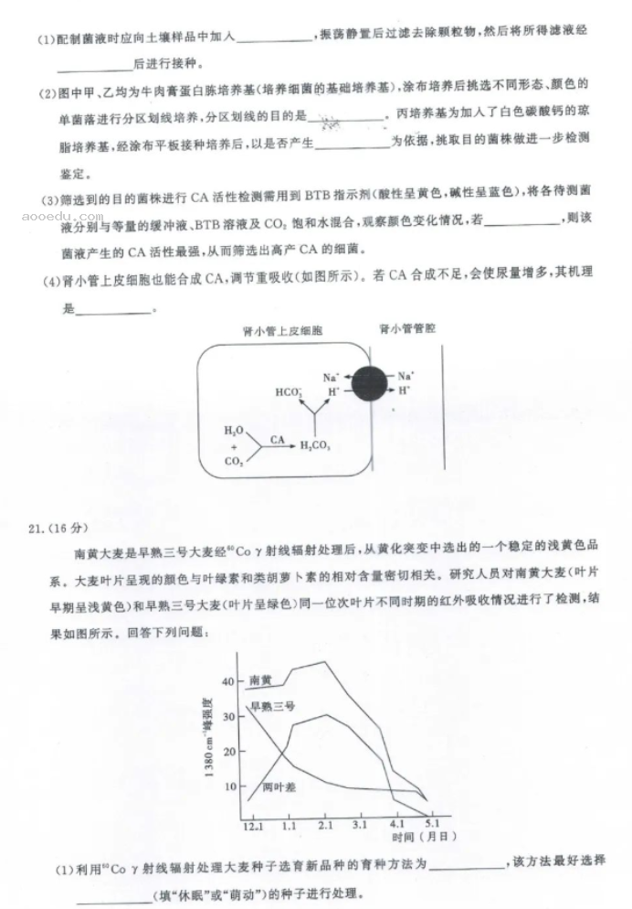 湖北圆创联盟2024高三第四次联合测评生物试题及答案解析