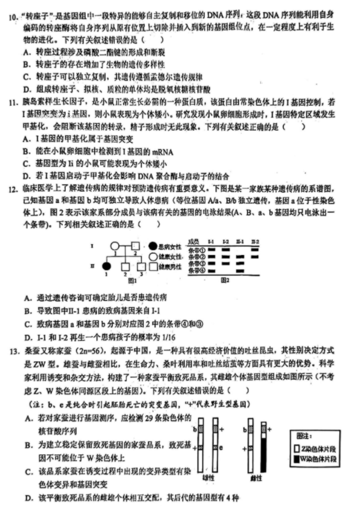 湖北鄂东南联盟2024高三5月模拟考生物试题及答案解析