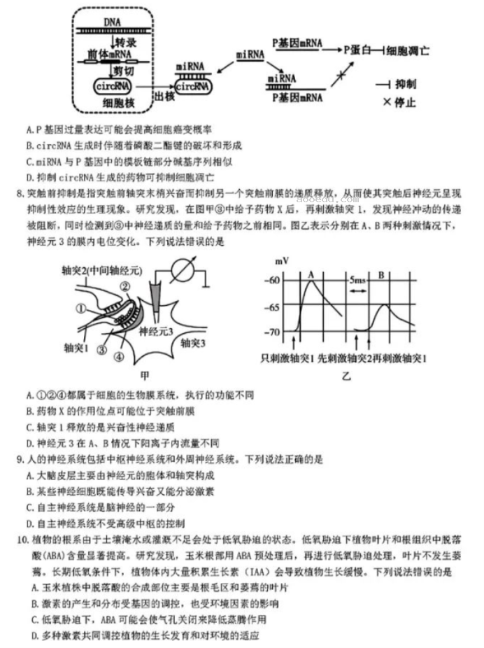 山东中学联盟2024高考考前热身押题生物试题及答案解析