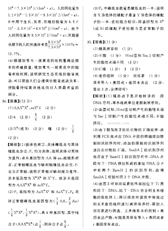 青桐鸣2024高三5月押题卷二理综试题及答案解析
