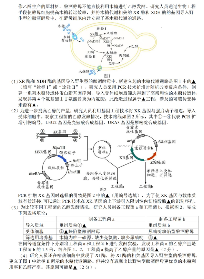 江苏扬州市2024高三考前调研模拟押题生物试题及答案解析