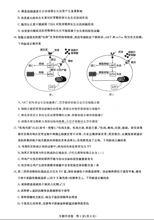 湖北2025届圆创联盟高三8月联考生物试题及答案汇总