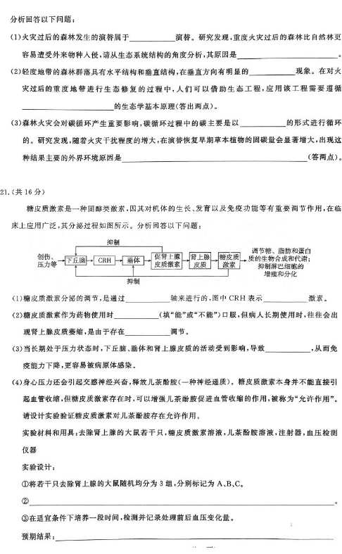  湖北2025届圆创联盟高三8月联考生物试题及答案汇总