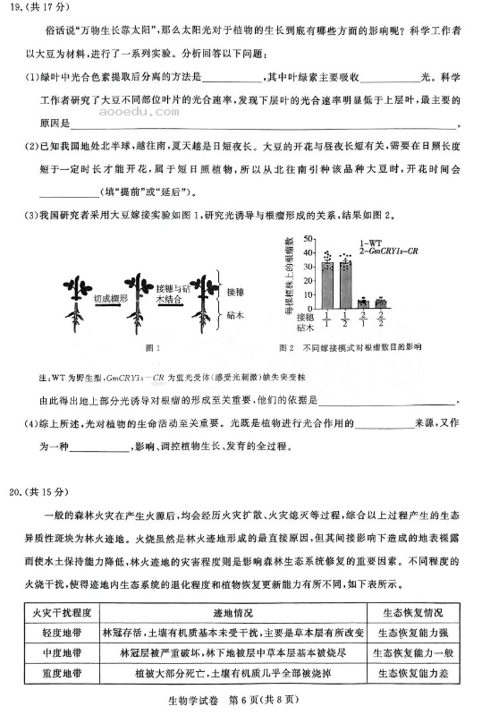  湖北2025届圆创联盟高三8月联考生物试题及答案汇总